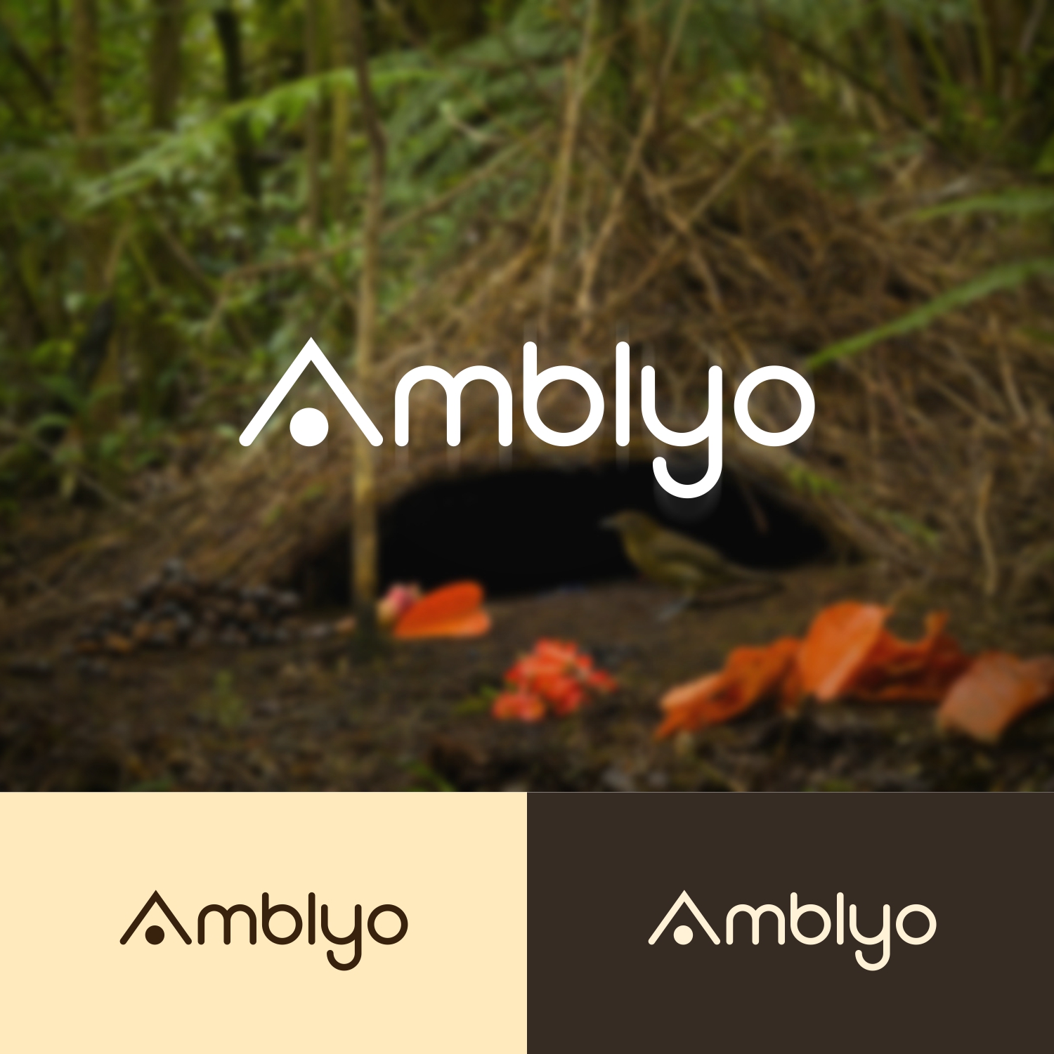 Logo Design by bisbidesign for this project | Design #13711946