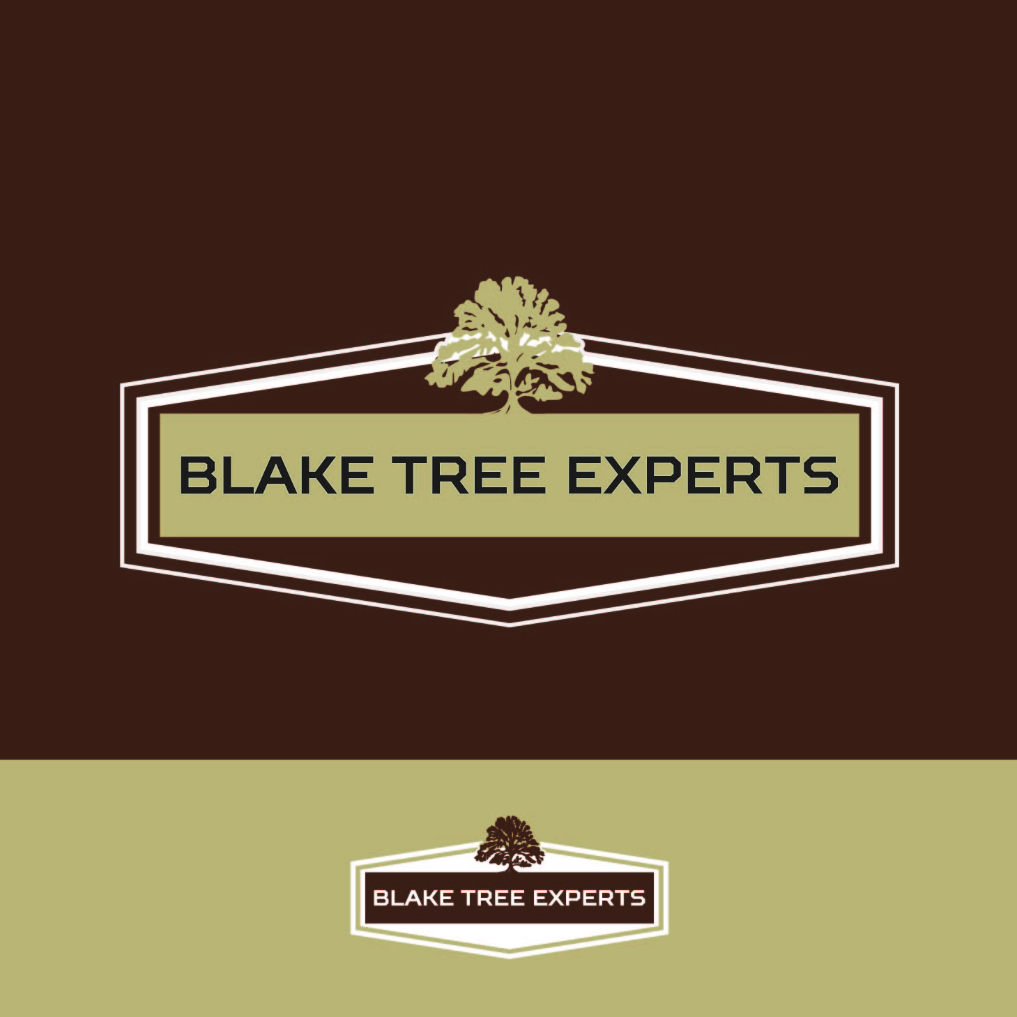 Diseño de Logo por J Petteford para Blake Tree Experts | Diseño #12501197