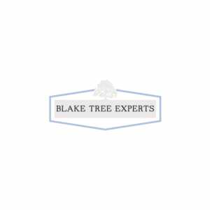 Logo-Design von J Petteford für Blake Tree Experts | Design: #12501226