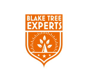 Logo Design by Jay Design