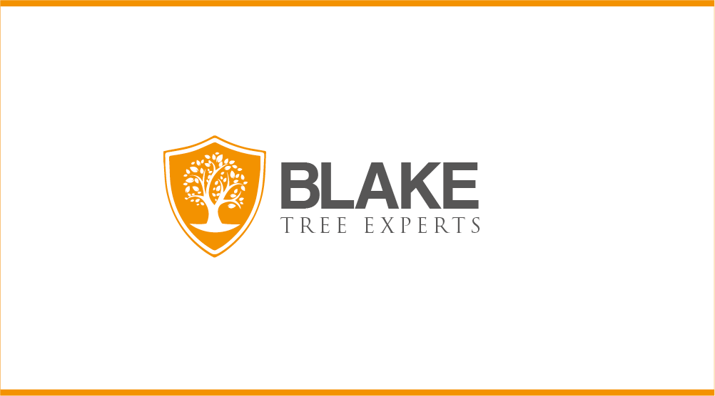 Logo-Design von Kyle20 für Blake Tree Experts | Design: #12469425