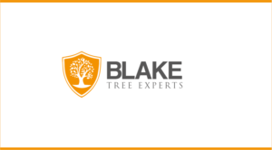 Logo Design by Kyle20