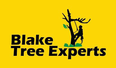Logo-Design von imgaurav92 für Blake Tree Experts | Design #12417998