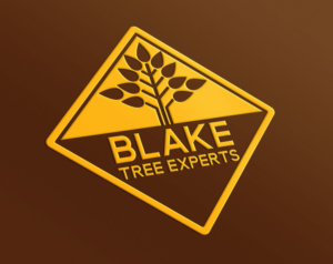 Logo Design by Emma