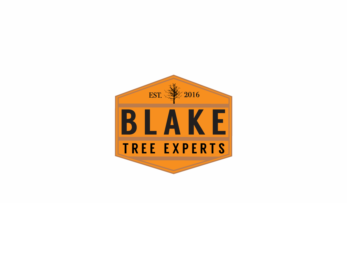 Diseño de Logo por GBDESIGN para Blake Tree Experts | Diseño #12500693