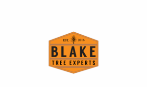 Logo-Design von GBDESIGN für Blake Tree Experts | Design: #12500693