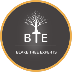Logo-Design von remi.hammerstein für Blake Tree Experts | Design #12501602