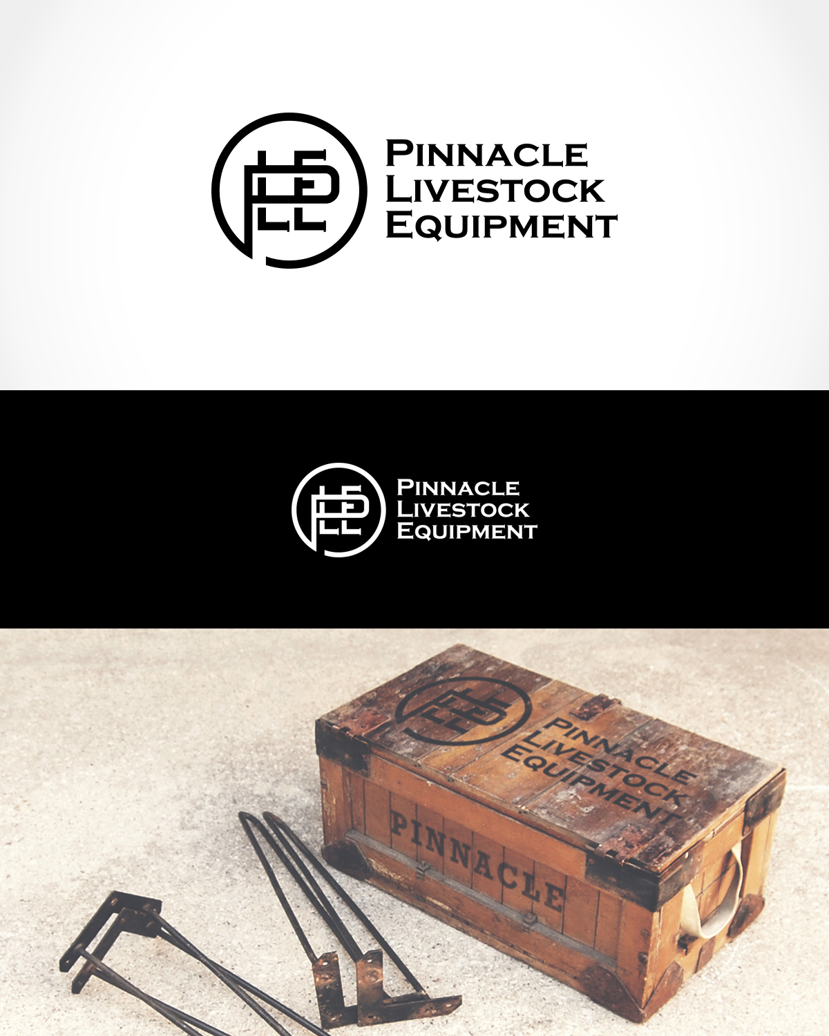 Diseño de Logo por Grapismo Brand Studio para este proyecto | Diseño #12466010