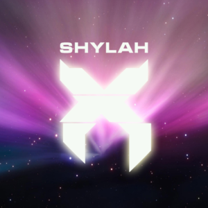 Logo Design by Roman Designs