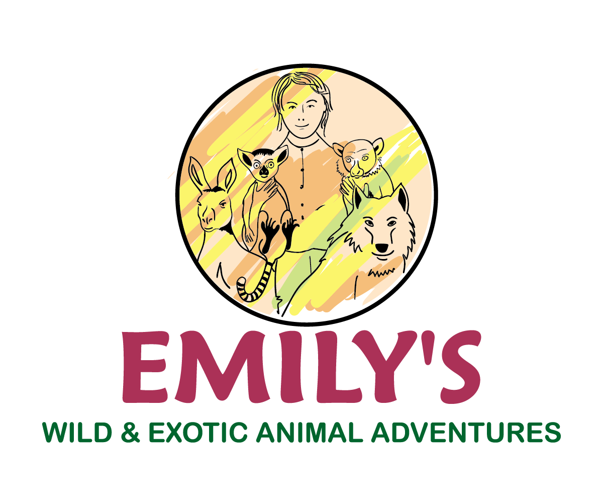 Logo Design by moisesf for this project | Design #12416941