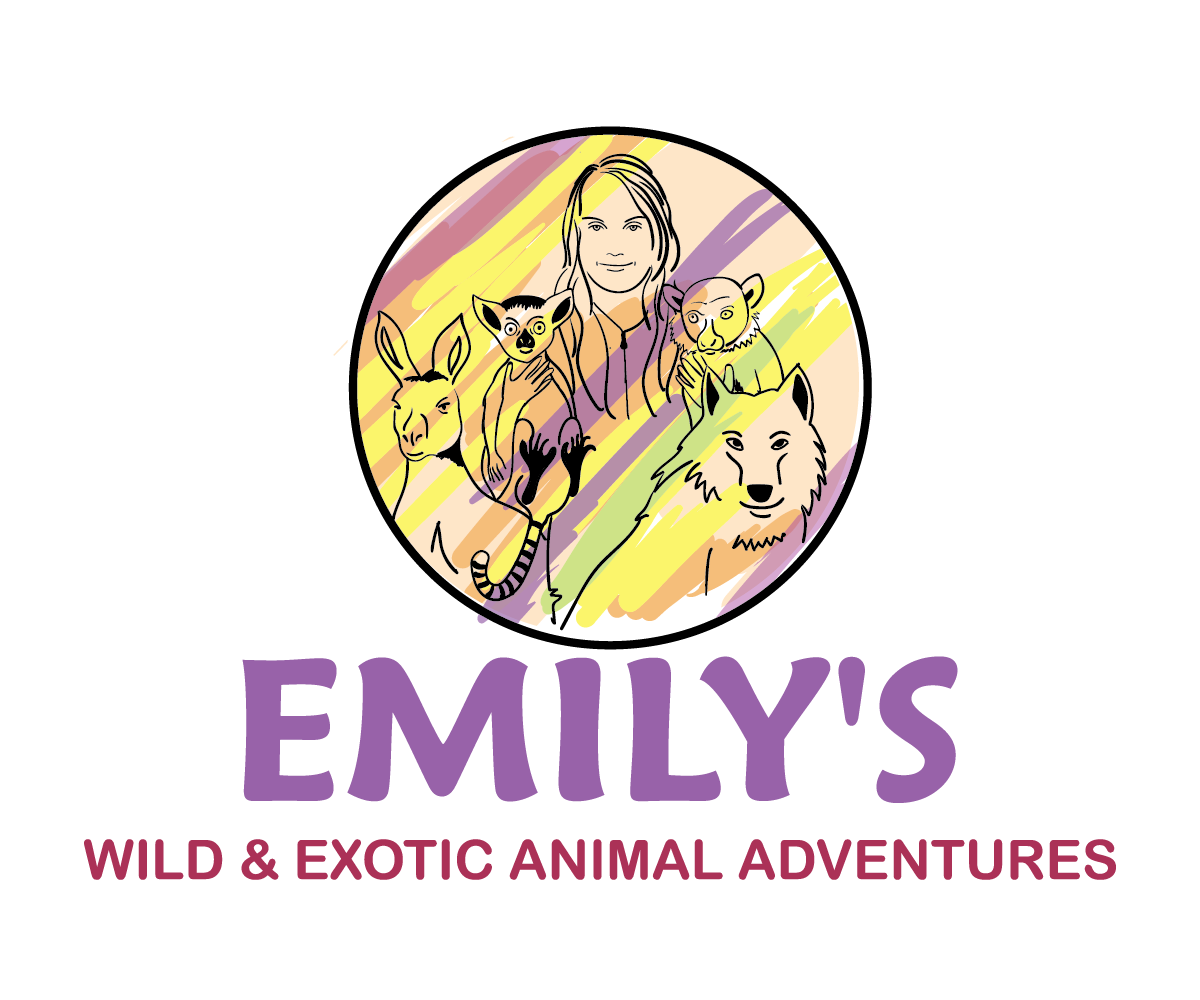 Logo Design by moisesf for this project | Design #12424558
