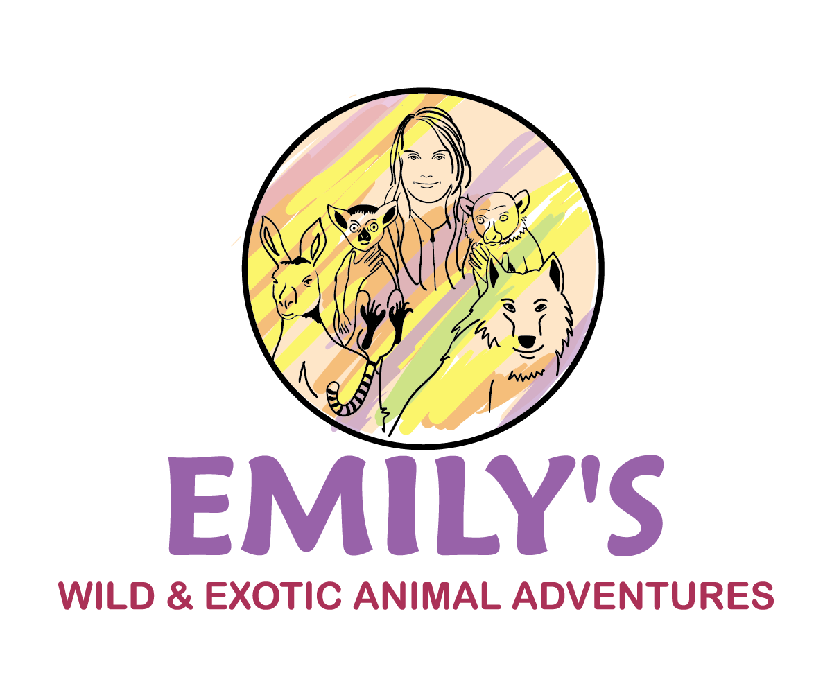 Logo Design by moisesf for this project | Design #12424636