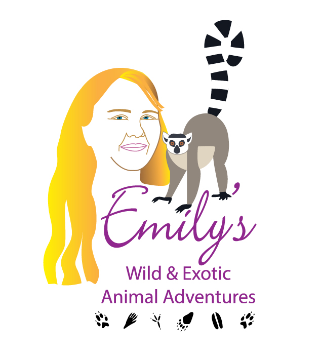 Logo Design by wmcool for this project | Design #12427583
