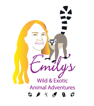 Logo Design by wmcool for this project | Design #12427592