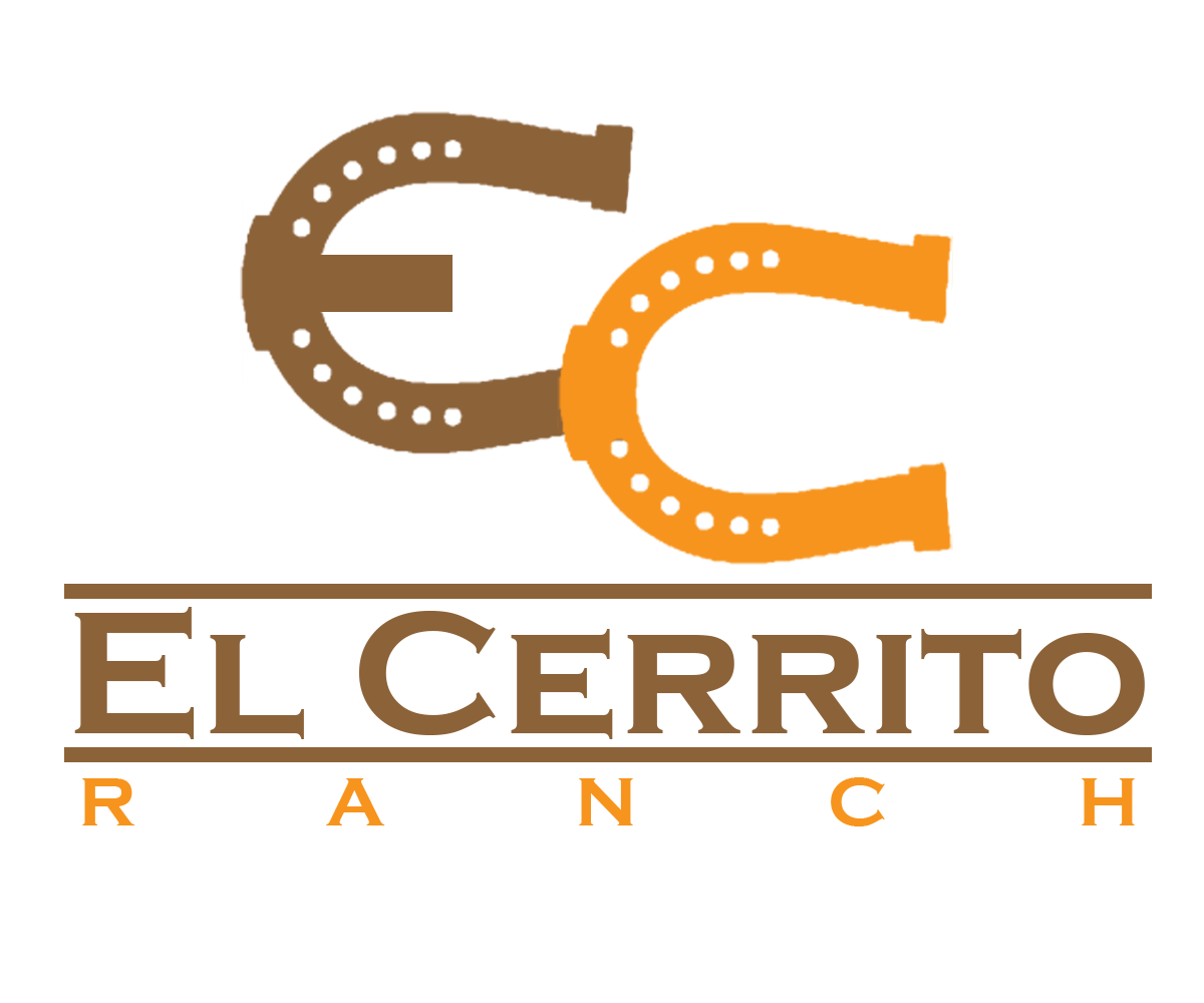 Design de Logo par DesigningDrew pour ce projet | Design #12416598