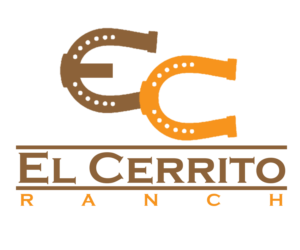 Logo-Design von DesigningDrew für dieses Projekt | Design #12416598