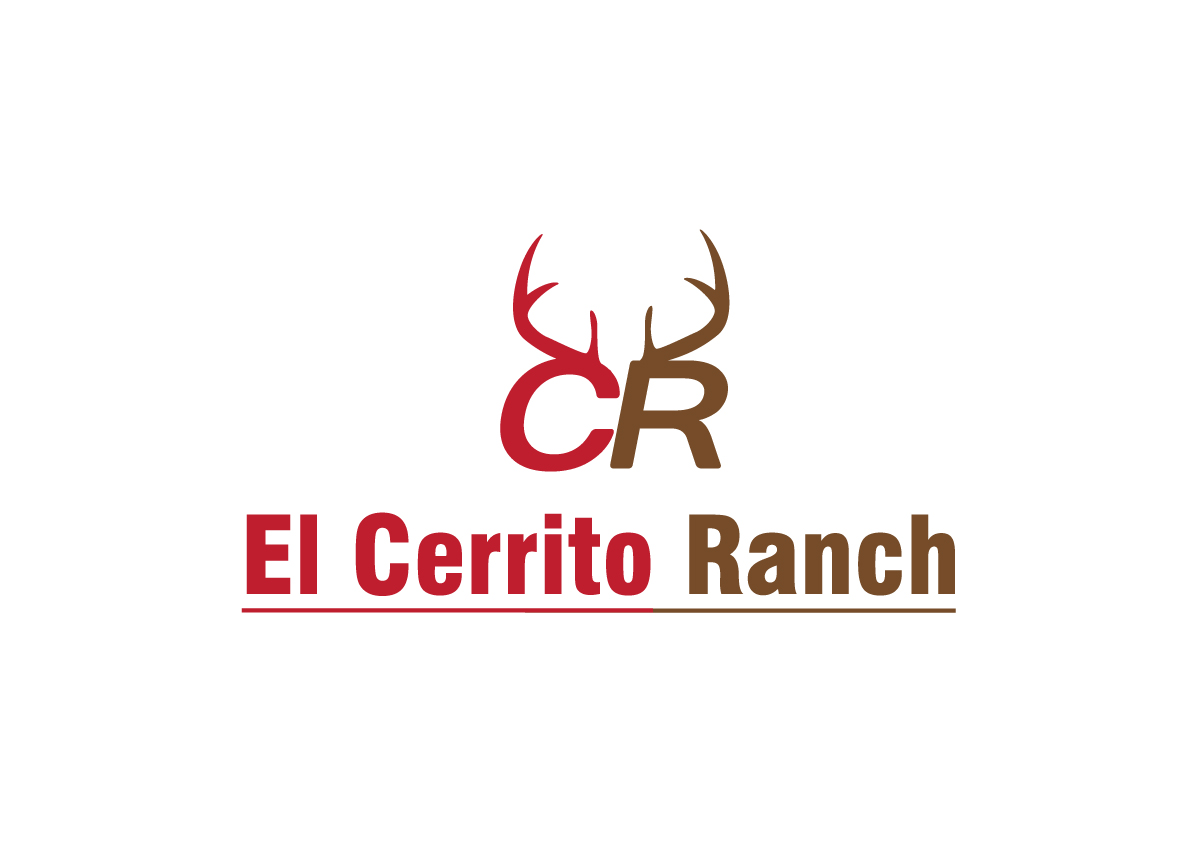 Logo Design by Impressive Sol for this project | Design #12431018