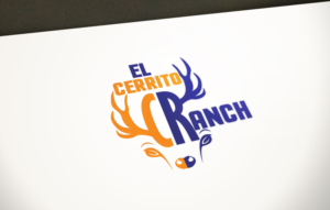 Logo-Design von Impressive Solutions für dieses Projekt | Design: #12431024