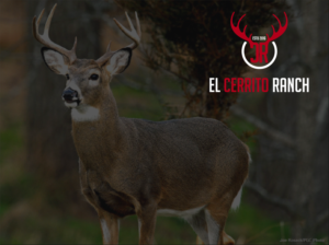 Logo Design by INNOVA CREATIVE for this project | Design: #12441360