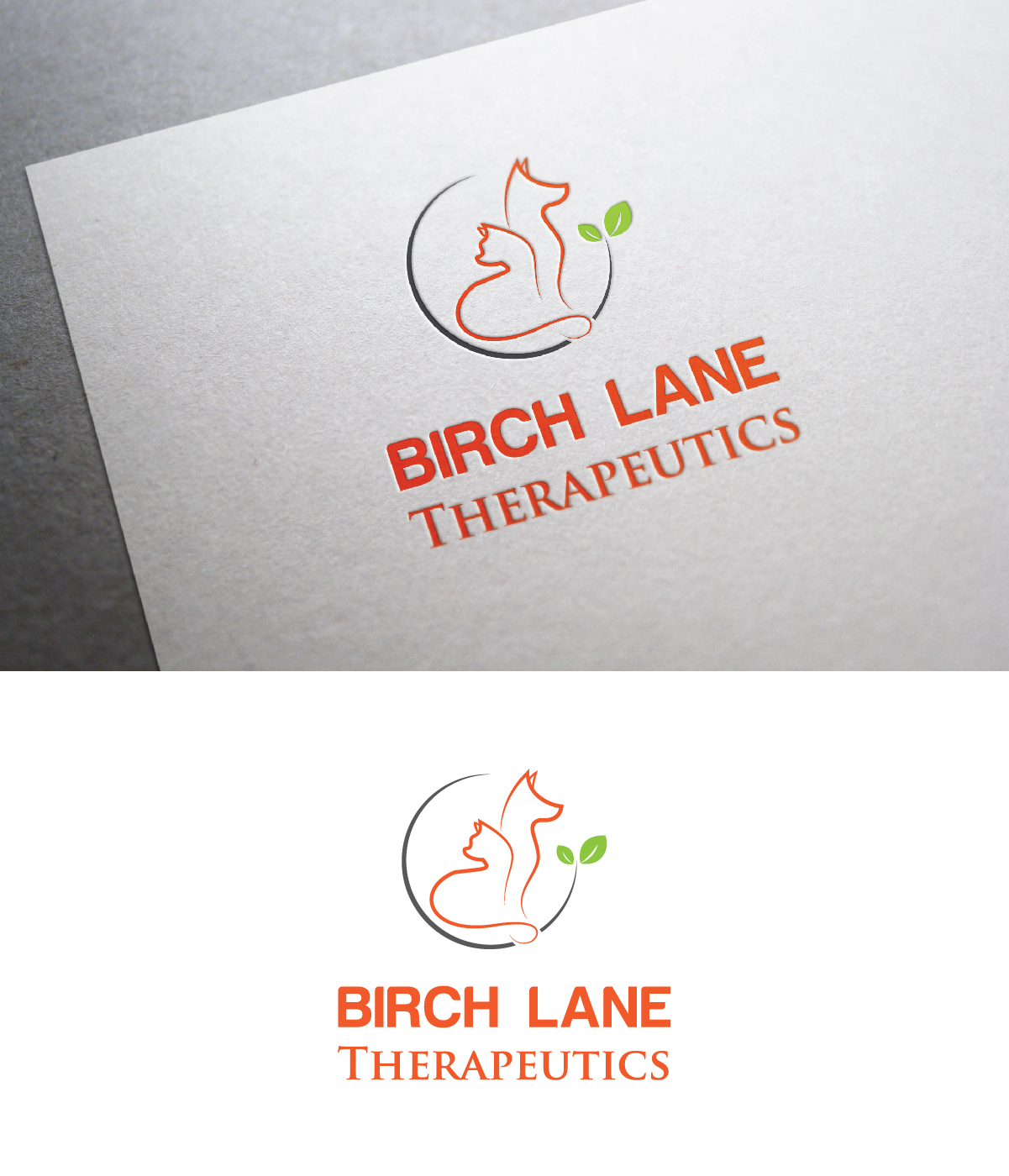 Upmarket, Elegant, Veterinary Logo Design for Birch Lane Therapeutics