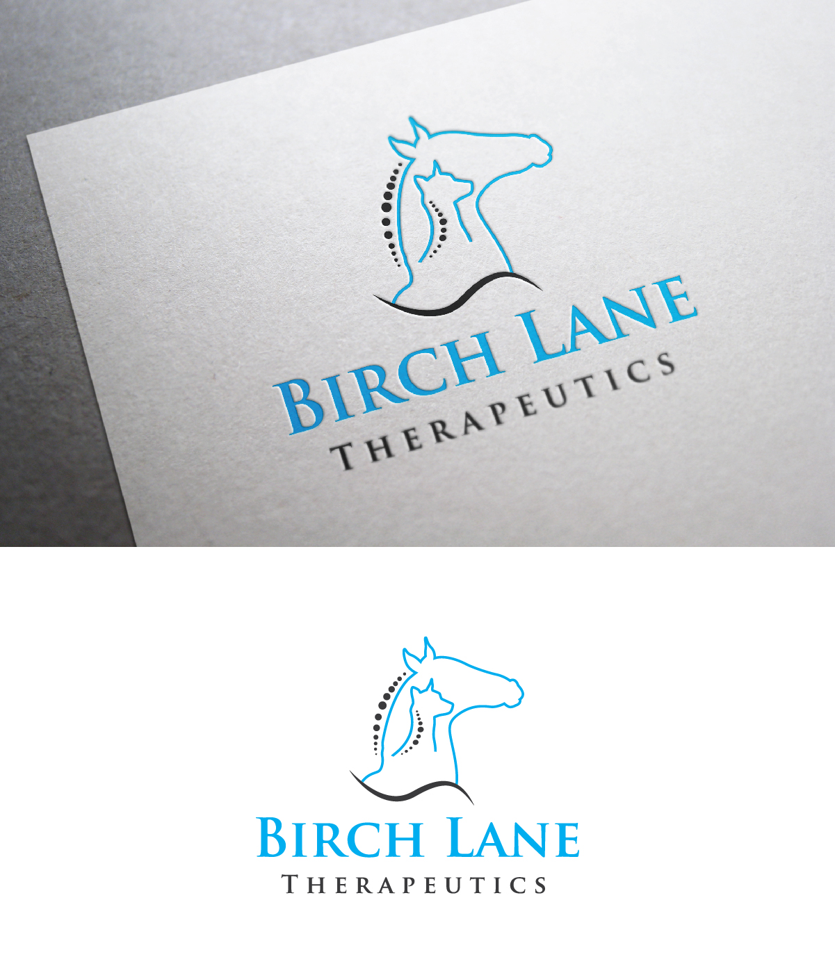 Logo Design by 3Guys for this project | Design #12499746