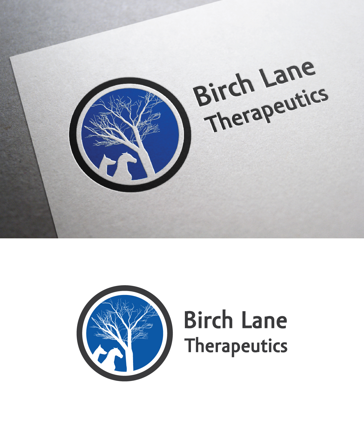 Logo Design by 3Guys for this project | Design #12499747