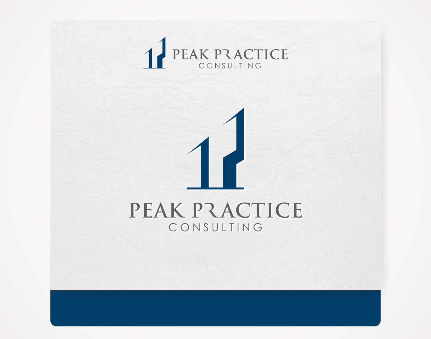 Logo Design by Savana for this project | Design #12417460