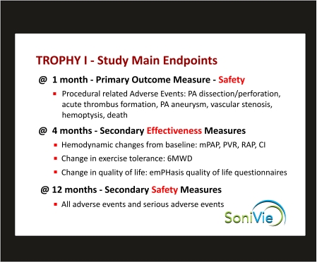 PowerPoint Design by wchristia for SoniVie | Design #12452011