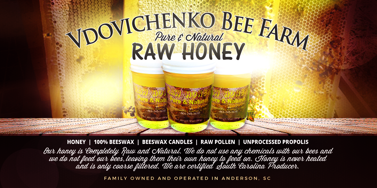 Design de Flyer par Brian Ellis pour Euro Klasse Plus,LLC | Design #12476085