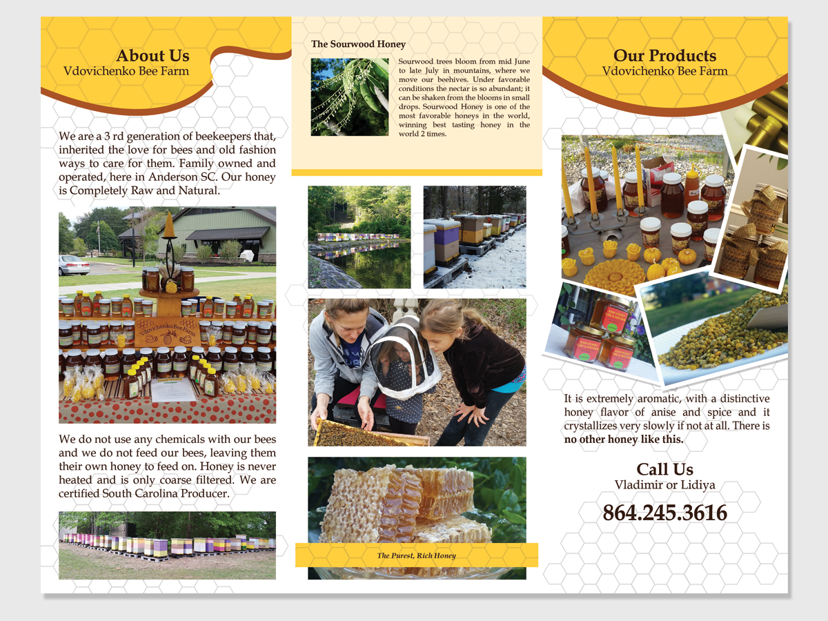 Design de Flyer par LeonFX pour Euro Klasse Plus,LLC | Design #12445600