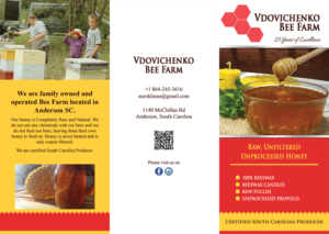 Flyer Design by VEGA-Designs for Euro Klasse Plus,LLC | Design: #12437556