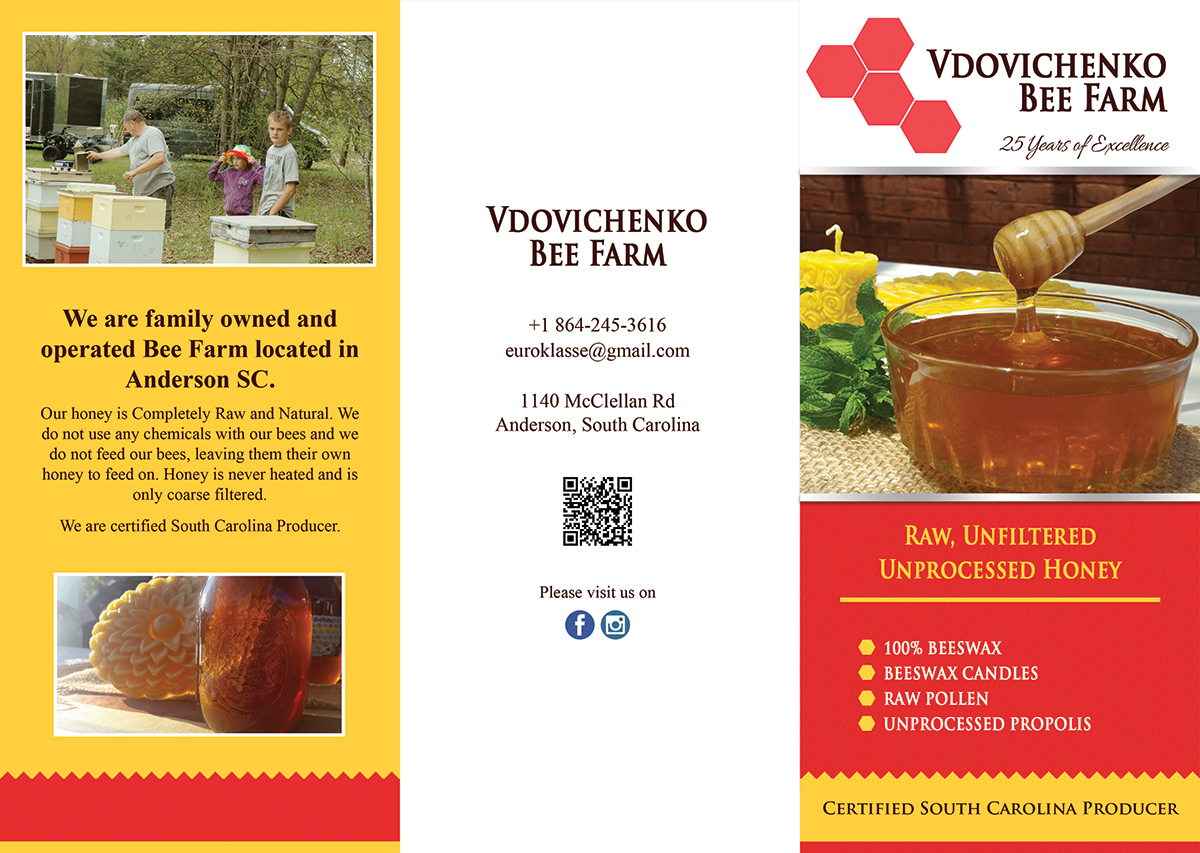 Design de Flyer par VEGA-Designs pour Euro Klasse Plus,LLC | Design #12437904