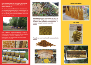 Flyer Design by VEGA-Designs for Euro Klasse Plus,LLC | Design: #12437905