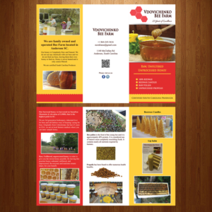 Flyer Design by VEGA-Designs for Euro Klasse Plus,LLC | Design #12437906