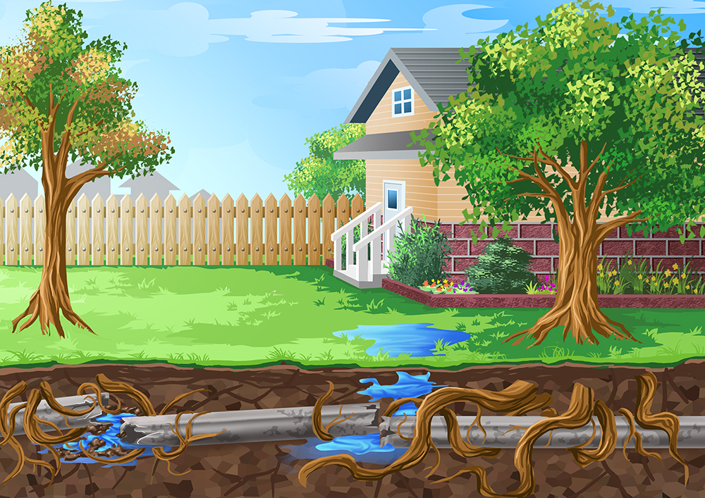 Illustration Design by icirotrisna for this project | Design #13003494