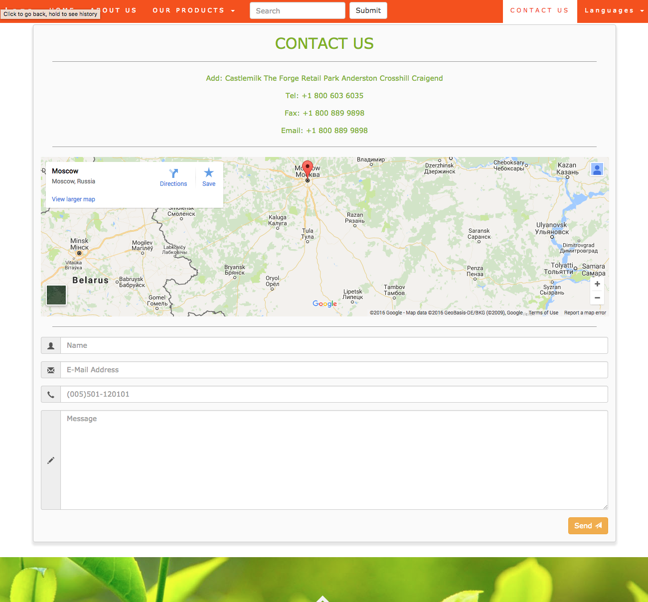 Web Design by Einder for NADI GmbH | Design #12568190