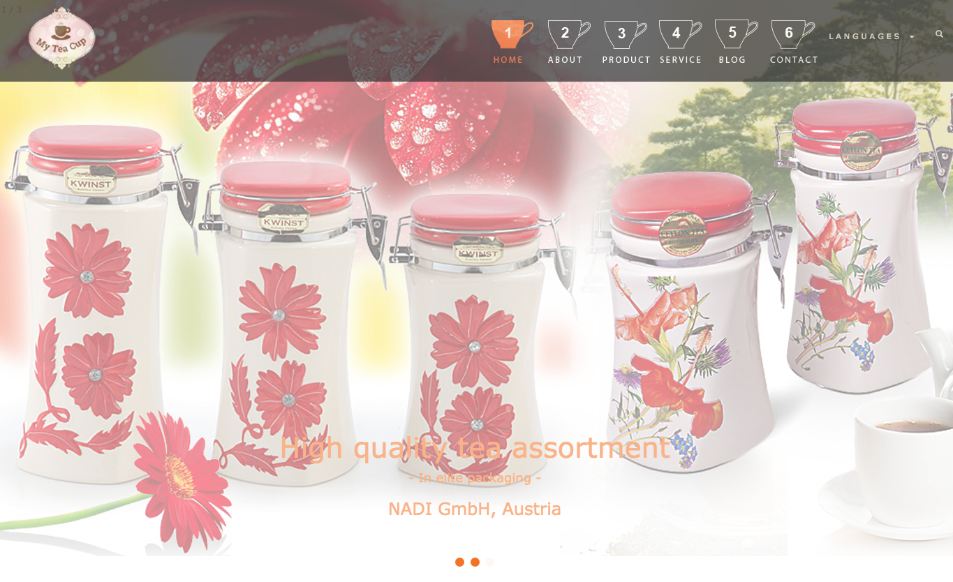 Diseño Web por Einder para NADI GmbH | Diseño #12591539