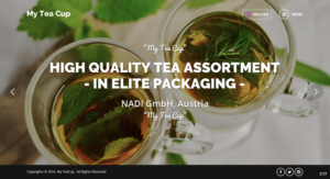Web Design by pb for NADI GmbH | Design: #12445151