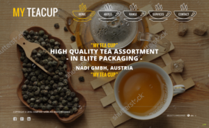 Web Design by pb for NADI GmbH | Design: #12456252