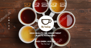 Web Design by pb for NADI GmbH | Design: #12456261