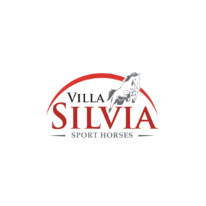 Logo Design by ddnsycrowd