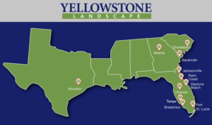 Illustration Design by syed2024 for Yellowstone Landscape | Design: #12506720