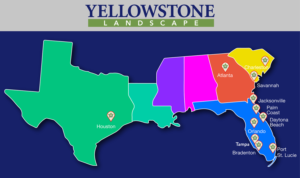 Illustration Design by syed2024 for Yellowstone Landscape | Design: #12506758