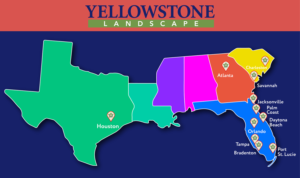 Illustration Design by syed2024 for Yellowstone Landscape | Design: #12506777