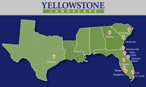 Illustration Design by syed2024 for Yellowstone Landscape | Design: #12531966