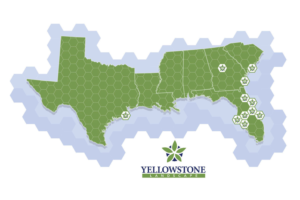 Illustration Design by glynn.clarke for Yellowstone Landscape | Design: #12546321