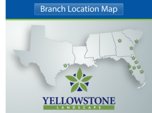 Illustration Design by noubigh for Yellowstone Landscape | Design #12513914