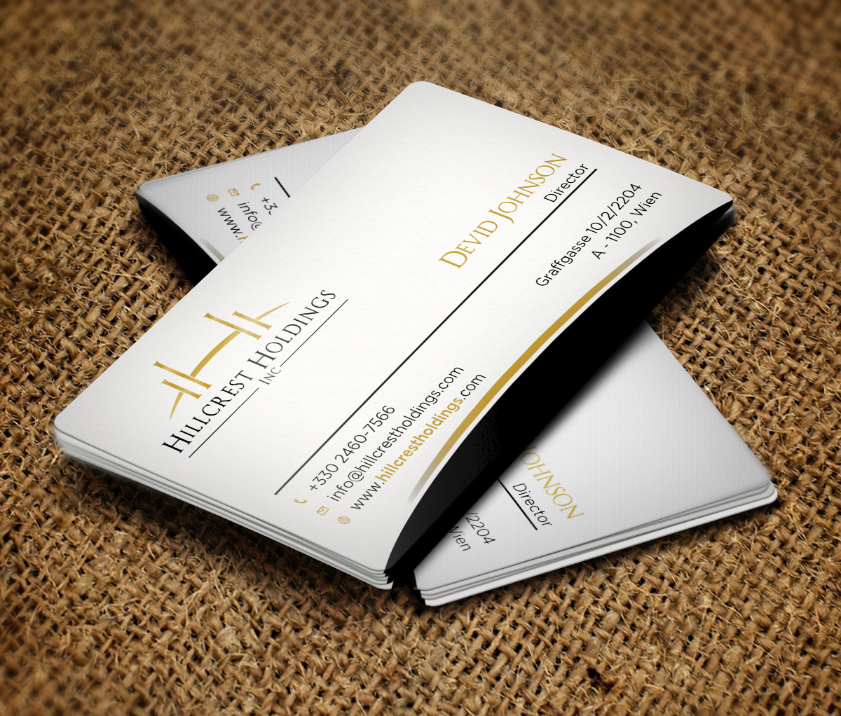 Business Card Design by Verified artistry (Design garden) for Hillcrest Holdings | Design #12467077