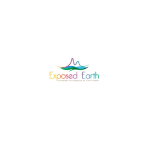 Logo Design by andiz