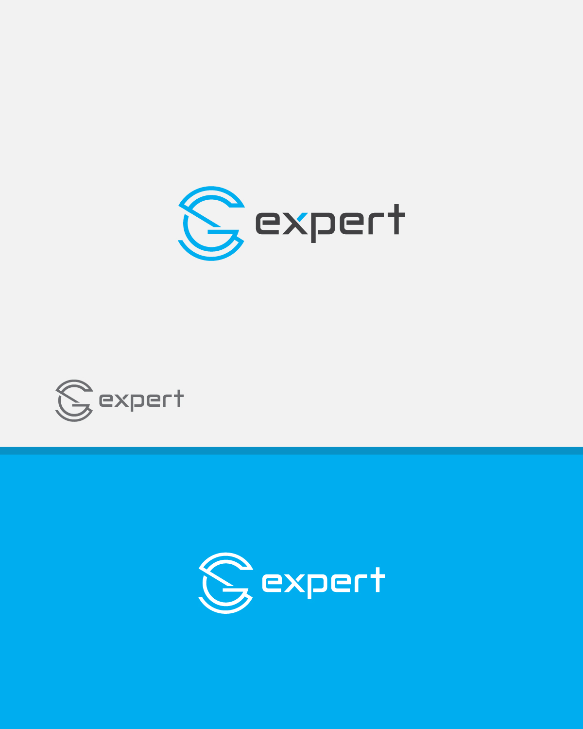 Design de Logo par joe designs pour SG Expert | Design #12535371